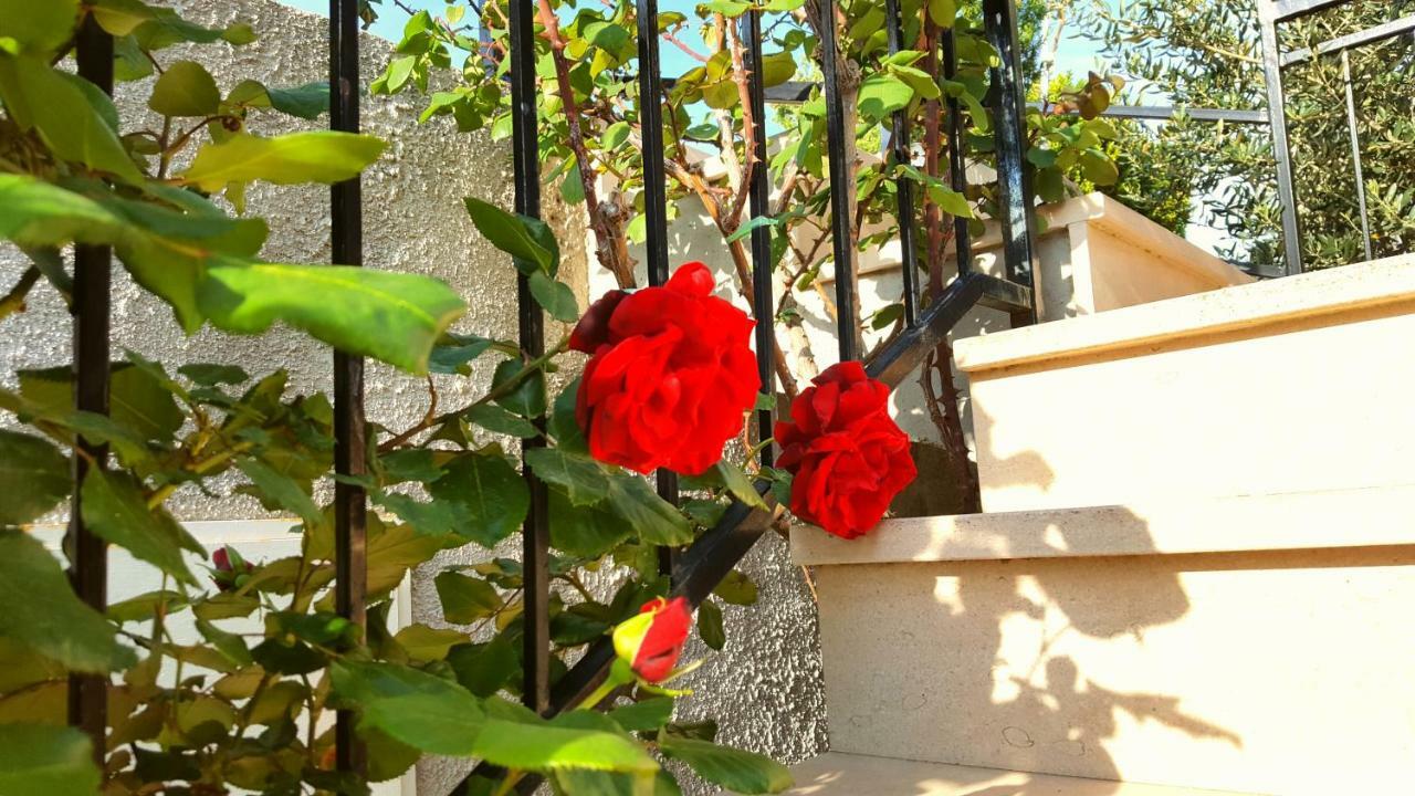 Apartmani Bezma ボル エクステリア 写真